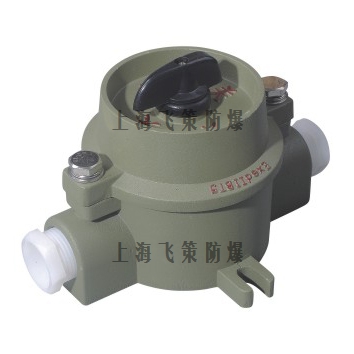 SW-10防爆照明開關(guān)