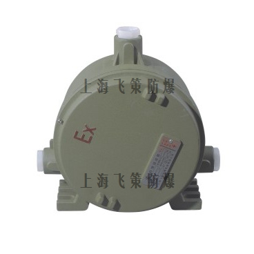 BHD（BAL）防爆鎮流器箱